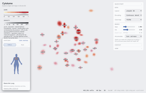 Cytolume rotating a 3D map of synthetic cells colored by expression, beside the HRA female anatomy panel